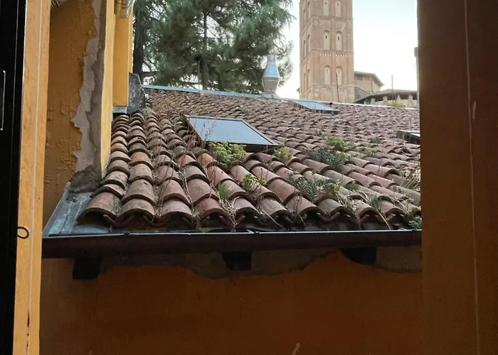 Elle Проживание в семье